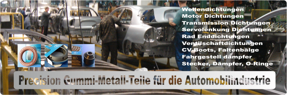 Automotive Dichtungen