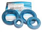 Repair kit for 4 oil seals of the gearbox VAZ LADA 2110